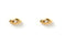 Arms of Eve Amulet Studs- Gold